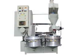 100型榨油機帶自動上料機