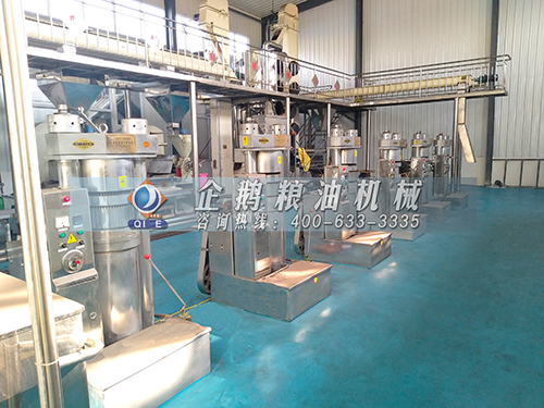 全自動榨油機生產線.jpg 全自動榨油機生產線.jpg